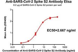 Elisa plate pre-coated by 2 μg/ml(100μl/well) SARS-CoV-2 Spike S2 protein can bind Rabbit Anti-SARS-CoV-2 Spike S2 monoclonal antibody (clone:DM42) in a linear range of 0.
