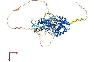 AlphaFold protein structure predicition of Mouse Recombinant Tmem102 Protein, UniprotID Q3UPR7
