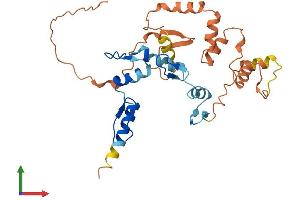 AlphaFold protein structure predicition of Human Recombinant ZFP42 Protein, UniprotID Q96MM3