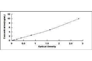 Typical standard curve (LRP2 Kit ELISA)