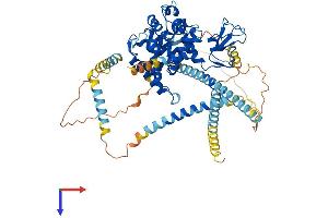 AlphaFold protein structure predicition of Human Recombinant DTNB Protein, UniprotID O60941
