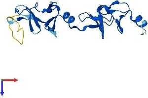 AlphaFold protein structure predicition of Human Recombinant LMO2 Protein, UniprotID P25791