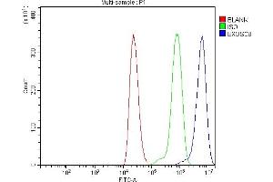 Flow Cytometry analysis of THP-1 cells using anti-EXOSC8 antibody (ABIN7601850). (EXOSC8 anticorps  (AA 49-216))