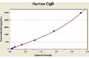Diagramm of the ELISA kit to detect Human CgBwith the optical density on the x-axis and the concentration on the y-axis.