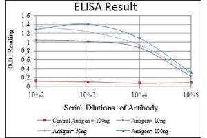 ELISA image for anti-Cyclin D3 (CCND3) antibody (ABIN1845423) (Cyclin D3 anticorps)