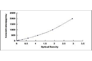 Typical standard curve (LI Cadherin Kit ELISA)
