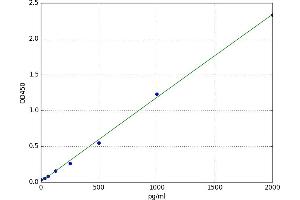 Sjogren Syndrome Antigen B (SSB) ELISA Kit