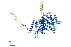AlphaFold protein structure predicition of Mouse Recombinant Mrps30 Protein, UniprotID Q9D0G0