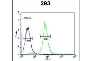 PHYH Antibody (N-term) (ABIN652656 and ABIN2842441) flow cytometric analysis of 293 cells (right histogram) compared to a negative control cell (left histogram). (PHYH anticorps  (N-Term))