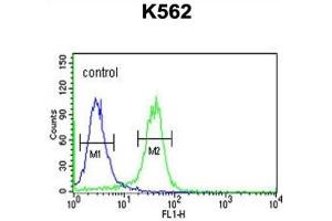 Flow Cytometry (FACS) image for anti-Lysine (K)-Specific Demethylase 4B (KDM4B) antibody (ABIN3004159) (KDM4B anticorps)