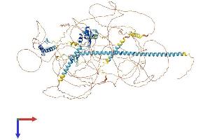 AlphaFold protein structure predicition of Human Recombinant ACIN1 Protein, UniprotID Q9UKV3