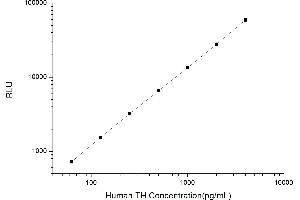 Typical standard curve (Tyrosine Hydroxylase Kit CLIA)