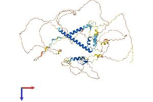 AlphaFold protein structure predicition of Human Recombinant UIMC1 Protein, UniprotID Q96RL1