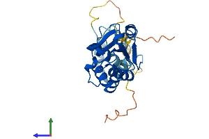 AlphaFold protein structure predicition of Human Recombinant PDC Protein, UniprotID P20941