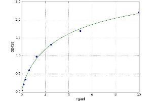 A typical standard curve (RRM2 Kit ELISA)