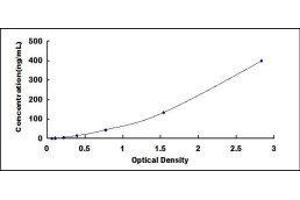 ELISA image for Hemoglobin ELISA Kit (ABIN1118093)