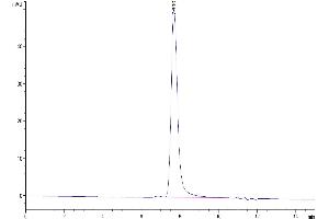 The purity of Mouse FLT3 Ligand is greater than 95 % as determined by SEC-HPLC.