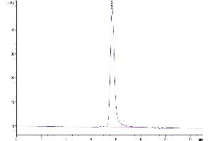 The purity of Mouse FLT3 Ligand is greater than 95 % as determined by SEC-HPLC. (FLT3LG Protein (AA 27-189) (Fc Tag))