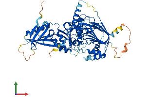 AlphaFold protein structure predicition of Human Recombinant CERK Protein, UniprotID Q8TCT0