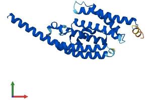 AlphaFold protein structure predicition of Mouse Recombinant Tsn Protein, UniprotID Q62348