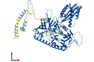 AlphaFold protein structure predicition of Human Recombinant CEP76 Protein, UniprotID Q8TAP6