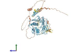 AlphaFold protein structure predicition of Human Recombinant ZNF578 Protein, UniprotID Q96N58