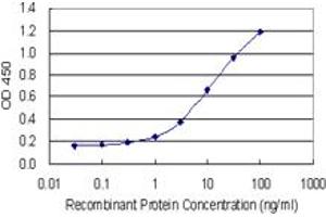 Detection limit for recombinant GST tagged SHMT2 is 0.