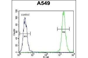 TRIM9 Antibody (C-term) (ABIN655760 and ABIN2845203) flow cytometric analysis of A549 cells (right histogram) compared to a negative control cell (left histogram). (TRIM9 anticorps  (C-Term))