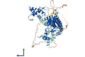 AlphaFold protein structure predicition of Human Recombinant MUS81 Protein, UniprotID Q96NY9