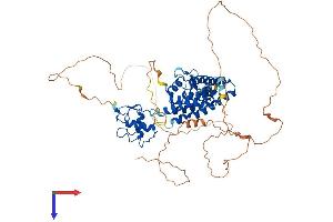 AlphaFold protein structure predicition of Human Recombinant NR4A2 Protein, UniprotID P43354