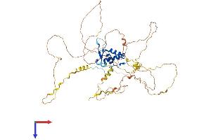 AlphaFold protein structure predicition of Human Recombinant FOXC1 Protein, UniprotID Q12948