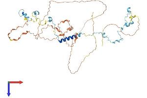AlphaFold protein structure predicition of Mouse Recombinant Spag8 Protein, UniprotID Q3V0Q6