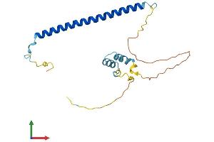 AlphaFold protein structure predicition of Human Recombinant WASHC3 Protein, UniprotID Q9Y3C0