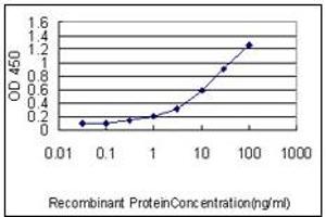 ELISA image for anti-Cut-Like Homeobox 1 (CUX1) (AA 521-621) antibody (ABIN614596)