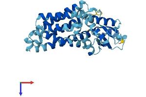 AlphaFold protein structure predicition of Mouse Recombinant Sfxn3 Protein, UniprotID Q91V61