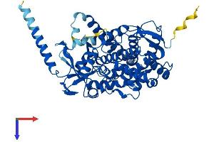 AlphaFold protein structure predicition of Human Recombinant CYP46A1 Protein, UniprotID Q9Y6A2