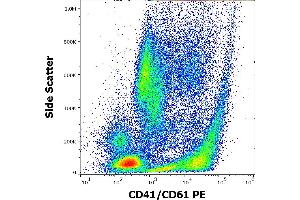Flow cytometry surface staining pattern of PHA stimulated human peripheral whole blood stained using anti-human CD41/CD61 (PAC-1) PE antibody (10 μL reagent / 100 μL of peripheral whole blood). (CD41, CD61 anticorps  (PE))