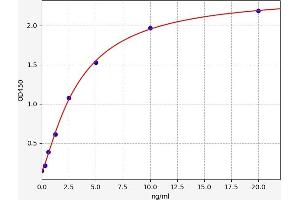 BH3 Interacting Domain Death Agonist (BID) ELISA Kit