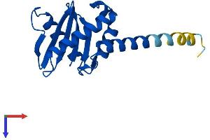 AlphaFold protein structure predicition of Mouse Recombinant Ap1s2 Protein, UniprotID Q9DB50