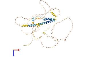 AlphaFold protein structure predicition of Mouse Recombinant Tmem200a Protein, UniprotID Q8C817