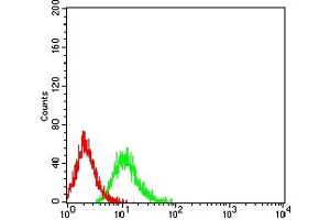 Flow cytometric analysis of Jurkat cells using TNFRSF19 mouse mAb (green) and negative control (red).