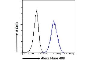 (ABIN184799) Flow cytometric analysis of paraformaldehyde fixed A431 cells (blue line), permeabilized with 0.