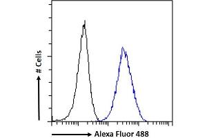 (ABIN184799) Flow cytometric analysis of paraformaldehyde fixed A431 cells (blue line), permeabilized with 0.