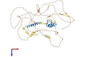 AlphaFold protein structure predicition of Human Recombinant PJA1 Protein, UniprotID Q8NG27
