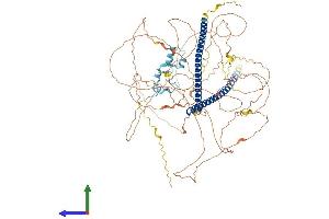 AlphaFold protein structure predicition of Human Recombinant RBBP8 Protein, UniprotID Q99708