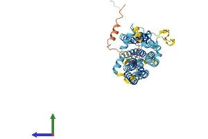 AlphaFold protein structure predicition of Mouse Recombinant Tmem184b Protein, UniprotID Q8BG09
