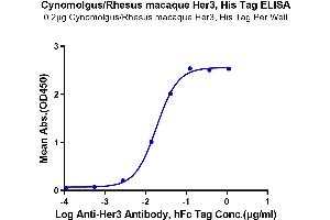 Immobilized Cynomolgus/Rhesus macaque Her3, His Tag at 2 μg/mL (100 μL/well) on the plate.