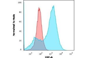 Flow Cytometric Analysis of A549 cells using S100A4 Mouse Monoclonal Antibody (S100A4/1481) followed by goat anti-Mouse IgG-CF488 (Blue); Isotype Control (Red). (s100a4 anticorps  (AA 1-200))