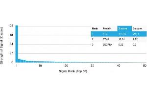 Analysis of Protein Array containing more than 19,000 full-length human proteins using Ferritin, Light Chain Mouse Monoclonal Antibody (FTL/1389) Z- and S- Score: The Z-score represents the strength of a signal that a monoclonal antibody (MAb) (in combination with a fluorescently-tagged anti-IgG secondary antibody) produces when binding to a particular protein on the HuProtTM array. (FTL anticorps  (AA 38-165))