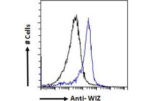 ABIN570947 Flow cytometric analysis of paraformaldehyde fixed HeLa cells (blue line), permeabilized with 0.